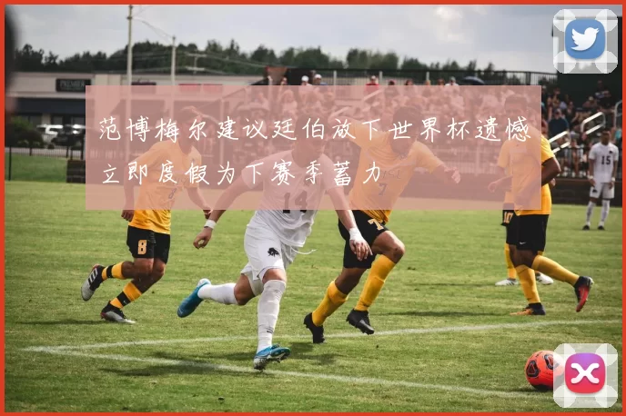 范博梅尔建议廷伯放下世界杯遗憾立即度假为下赛季蓄力